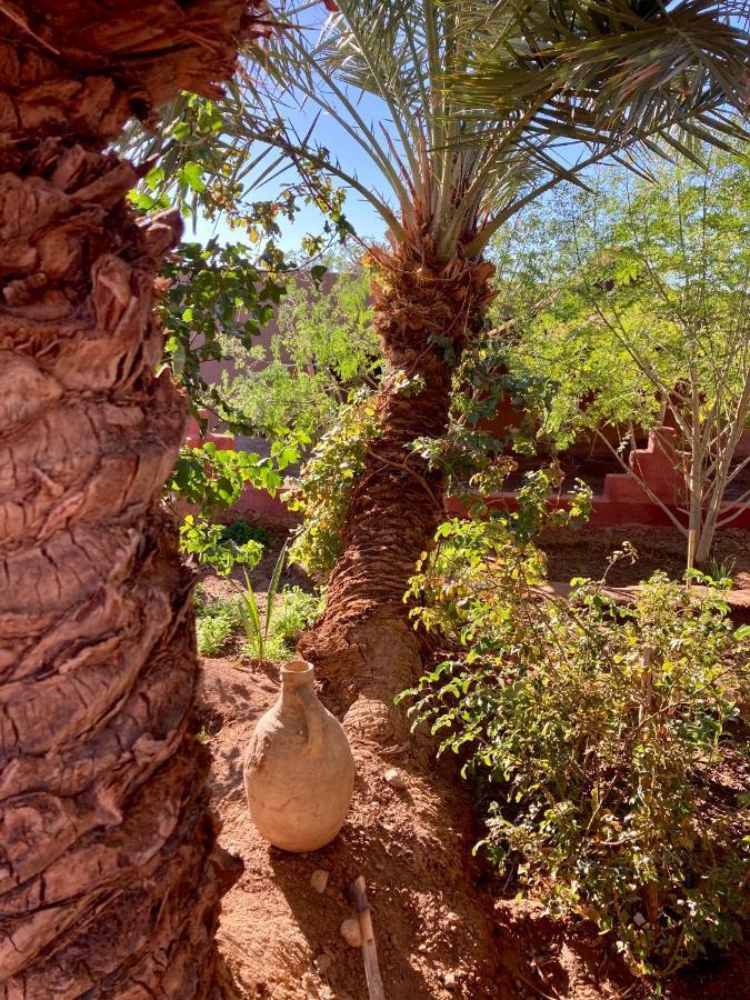 Riad Imuhar มามิด ภายนอก รูปภาพ